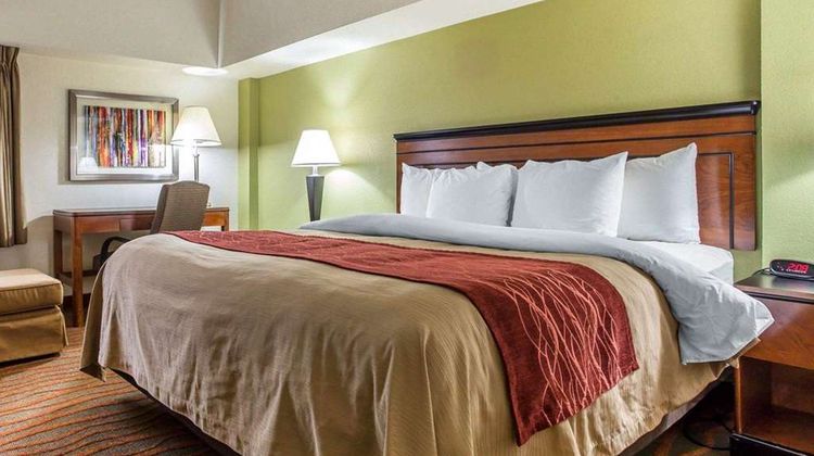 Comfort Inn Room
