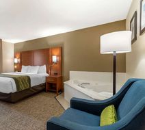 Comfort Inn & Suites at Robins AFB Room