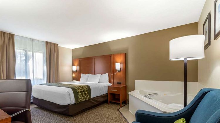 Comfort Inn & Suites at Robins AFB Room