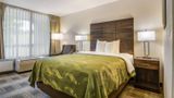 Quality Inn Suwanee Room