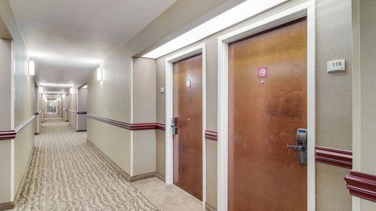 Quality Inn & Suites Other