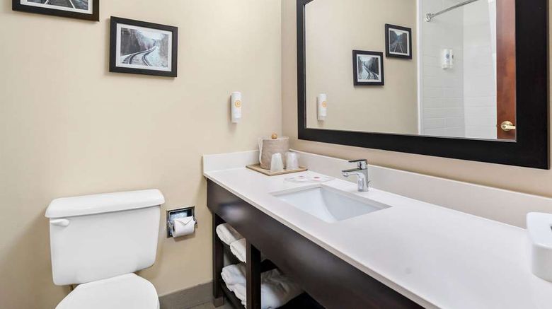 <b>Comfort Suites Near Robins Air Force Bas Room</b>. Images powered by <a href="https://iceportal.shijigroup.com/" title="IcePortal" target="_blank">IcePortal</a>.