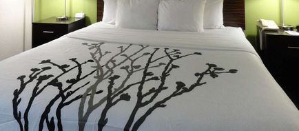 Sleep Inn Room