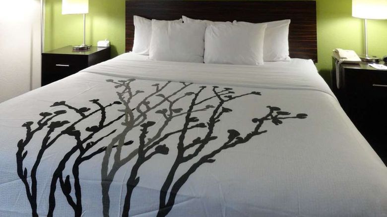 <b>Sleep Inn Room</b>. Images powered by <a href="https://iceportal.shijigroup.com/" title="IcePortal" target="_blank">IcePortal</a>.