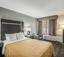 Quality Inn & Suites Room