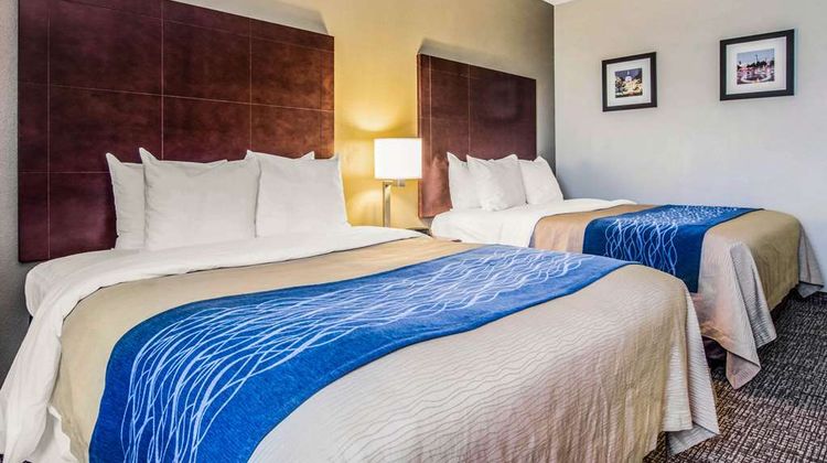 Comfort Inn Downtown South-Turner Field Room