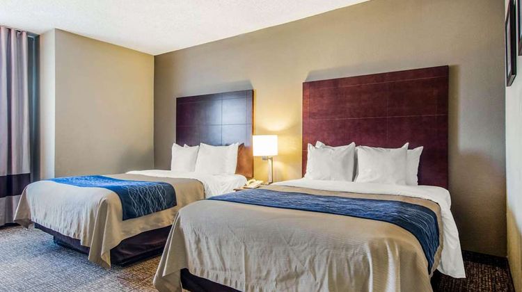 Comfort Inn Downtown South-Turner Field Room