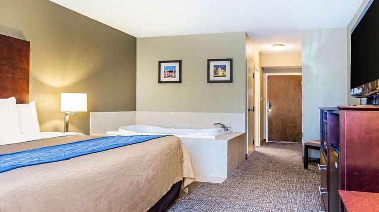 Comfort Inn Downtown South-Turner Field Suite
