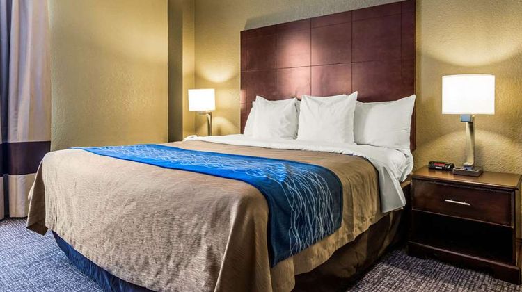 Comfort Inn Downtown South-Turner Field Suite