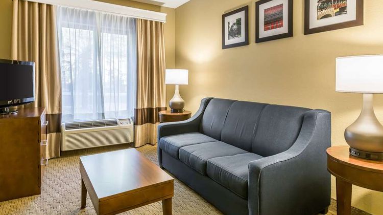 Comfort Inn & Suites Dalton Suite