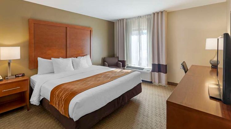 Comfort Inn Room