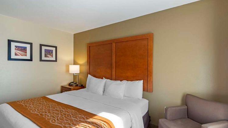 Comfort Inn Room