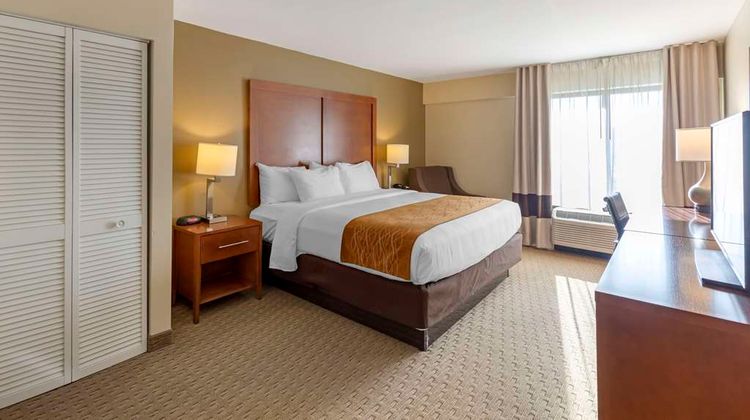 Comfort Inn Room