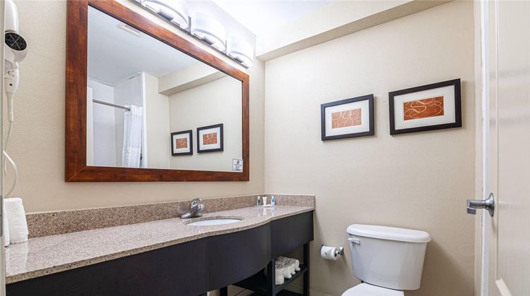 Comfort Suites Morrow Room