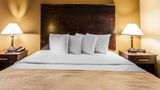 <b>Quality Inn and Suites Bremen Room</b>. Images powered by <a href="https://iceportal.shijigroup.com/" title="IcePortal" target="_blank">IcePortal</a>.