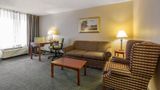 Quality Inn & Suites McDonough Suite