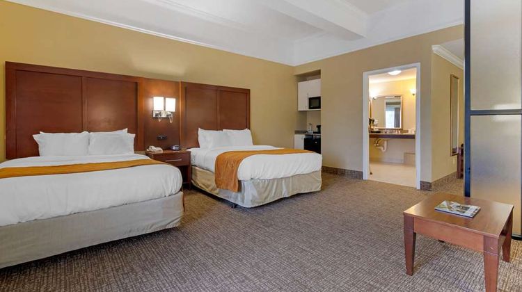 Comfort Suites Suite
