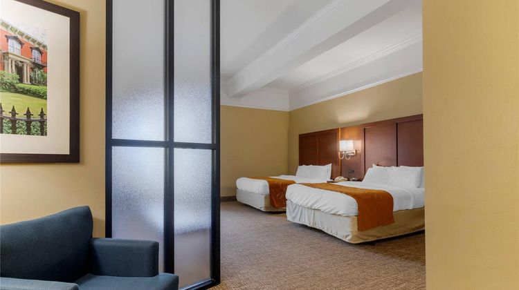 Comfort Suites Suite