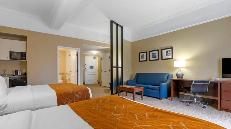 Comfort Suites Suite