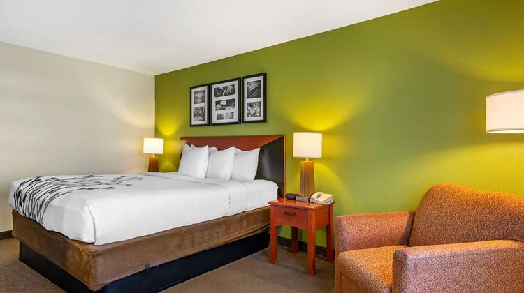 Sleep Inn & Suites Stockbridge Room
