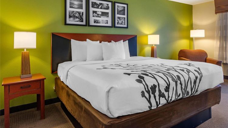 Sleep Inn & Suites Stockbridge Room