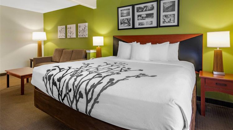 Sleep Inn & Suites Stockbridge Suite