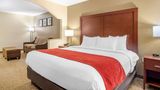 Comfort Inn And Suites Macon North Suite