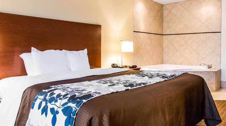 Sleep Inn and Suites Pooler Savannah Area Room