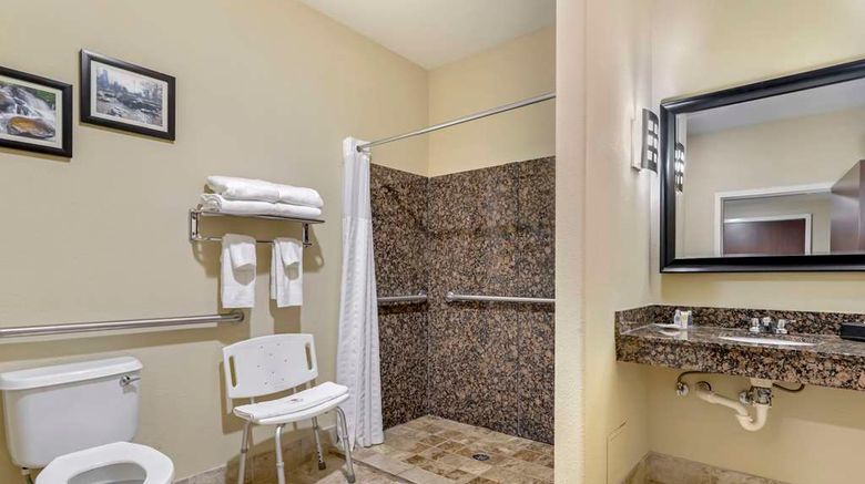 <b>Comfort Suites at Kennesaw State Univ Room</b>. Images powered by <a href="https://iceportal.shijigroup.com/" title="IcePortal" target="_blank">IcePortal</a>.