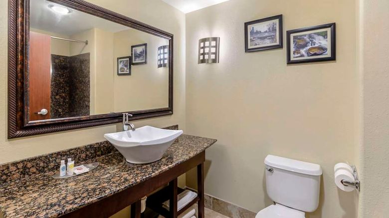 <b>Comfort Suites at Kennesaw State Univ Room</b>. Images powered by <a href="https://iceportal.shijigroup.com/" title="IcePortal" target="_blank">IcePortal</a>.