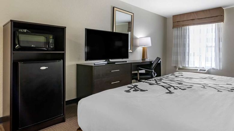 <b>Sleep Inn and Suites Brunswick North Room</b>. Images powered by <a href="https://iceportal.shijigroup.com/" title="IcePortal" target="_blank">IcePortal</a>.
