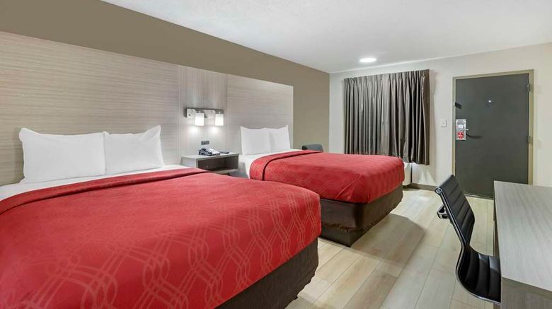 <b>Econo Lodge Downtown Room</b>. Images powered by <a href="https://iceportal.shijigroup.com/" title="IcePortal" target="_blank">IcePortal</a>.