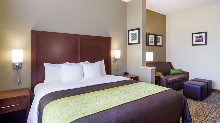 Comfort Inn Suite