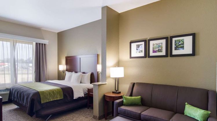 Comfort Inn Suite