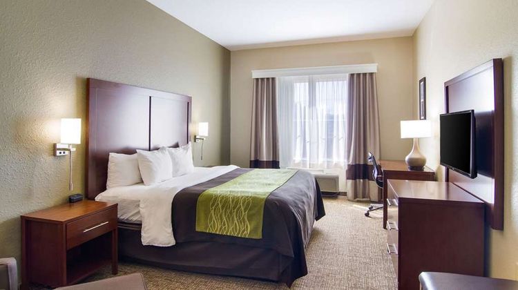 Comfort Inn Room