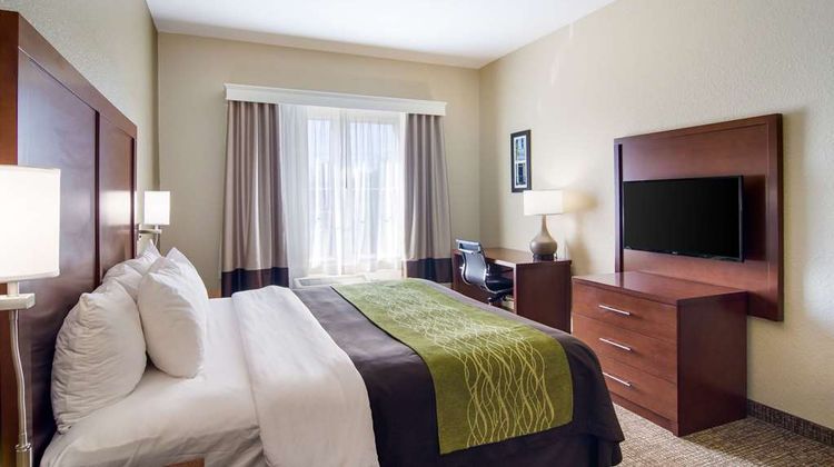Comfort Inn Room