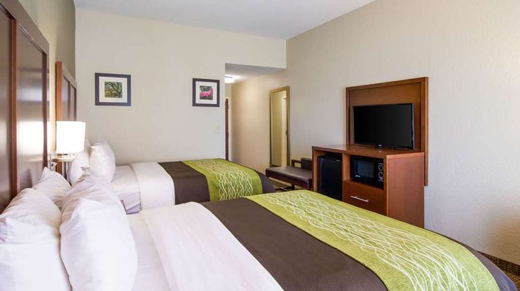 Comfort Inn Room