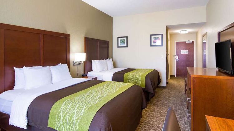 Comfort Inn Room