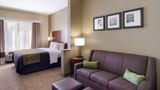 Comfort Inn Room