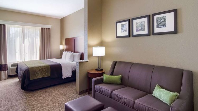 Comfort Inn Room