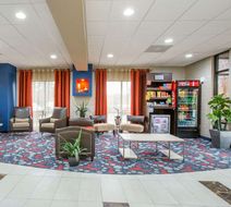 Comfort Suites Locust Grove-Atlanta S. Lobby