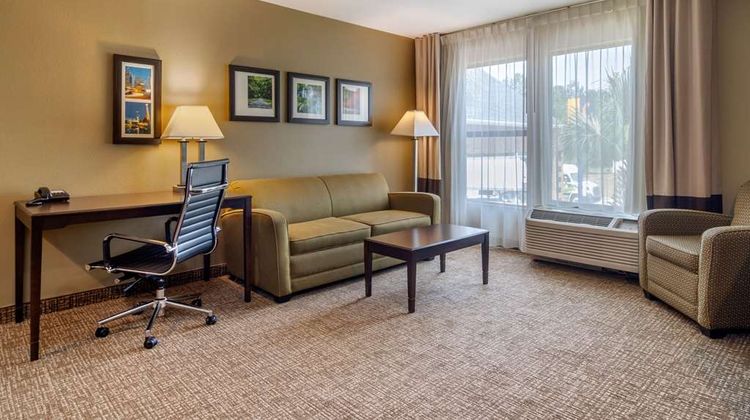 Comfort Inn & Suites Suite