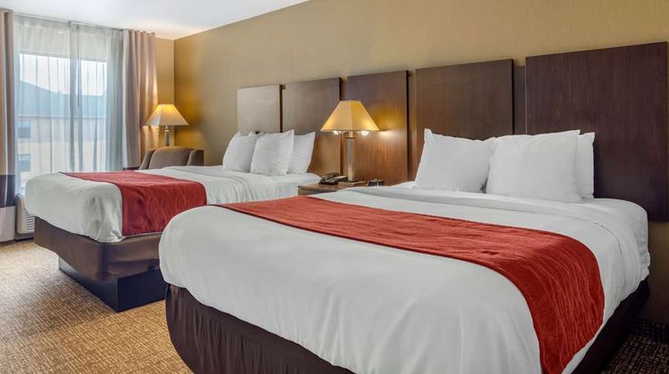 Comfort Inn & Suites Room