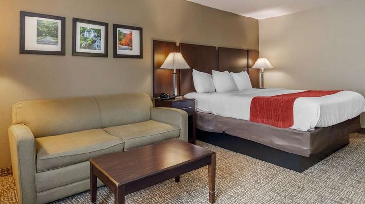 Comfort Inn & Suites Room