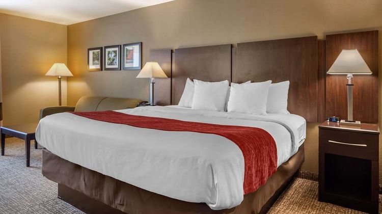 Comfort Inn & Suites Room