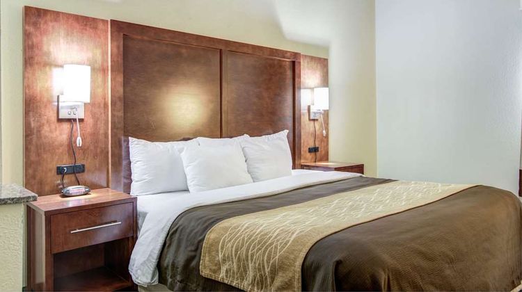 Comfort Inn and Suites Athens North Suite