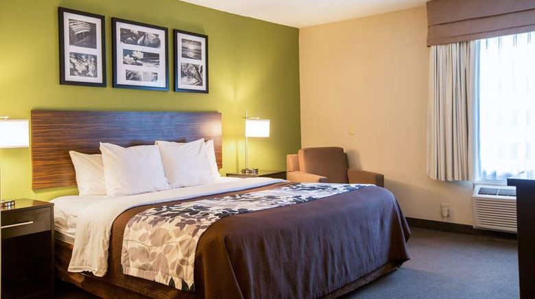 <b>Sleep Inn Douglasville Room</b>. Images powered by <a href="https://iceportal.shijigroup.com/" title="IcePortal" target="_blank">IcePortal</a>.