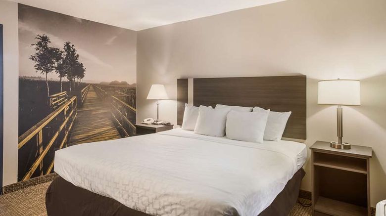 <b>Clarion Pointe Room</b>. Images powered by <a href="https://iceportal.shijigroup.com/" title="IcePortal" target="_blank">IcePortal</a>.
