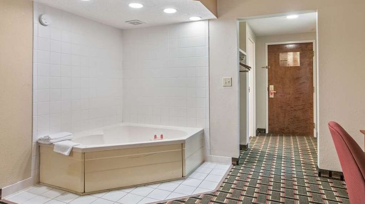 Econo Lodge Inn & Stes Room