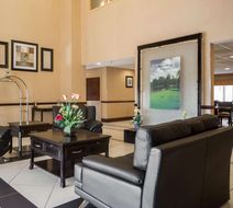 Comfort Inn & Suites Lobby